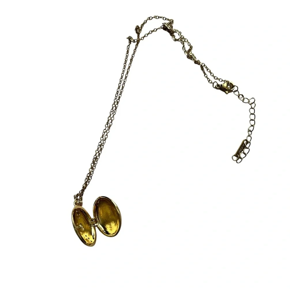 Blue and Pink Locket 18K Gold-Plated Stainless Steel Crystal Necklace